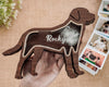 Dog Fur Shadow Box