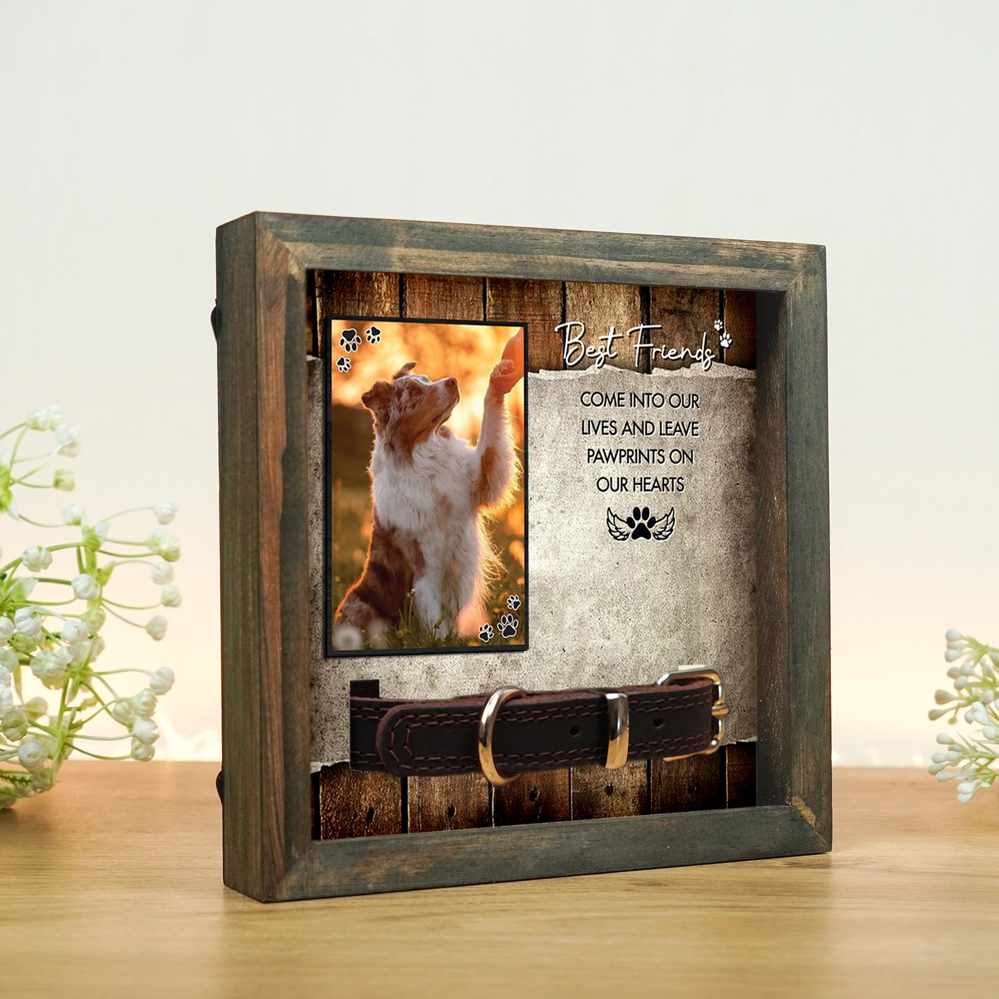 Pet Collar Keepsake Picture Frame