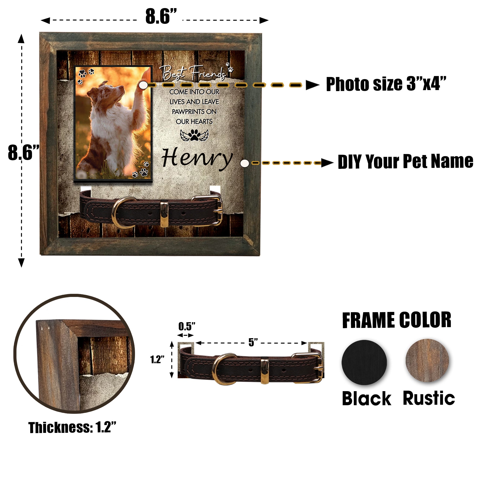 Pet Collar Keepsake Picture Frame