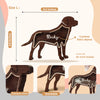 Dog Fur Shadow Box