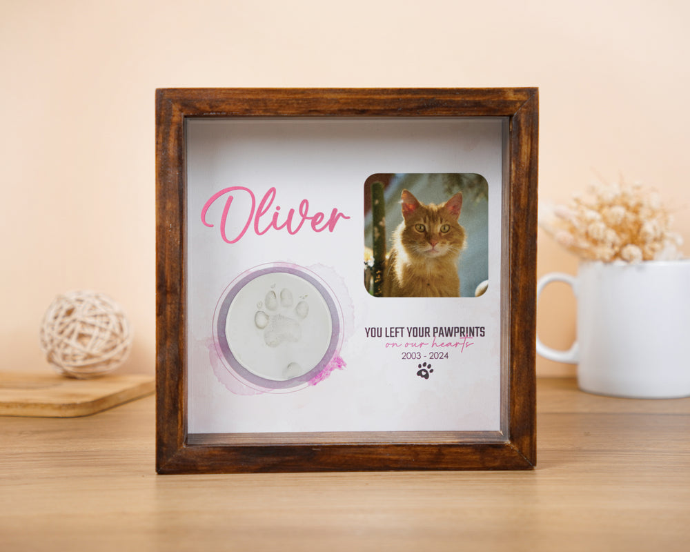 Cat Shadow Box with Clay